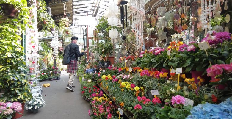 compras en Marché aux fleurs