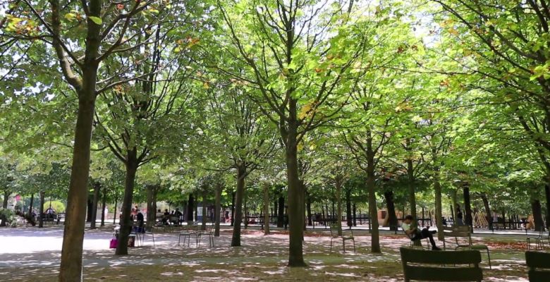 asientos en jardines de luxemburgo
