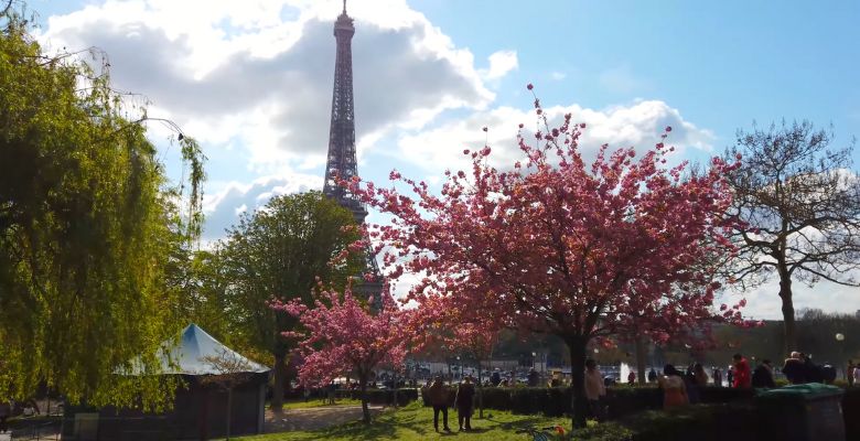 vista a torre eiffel desde jardines trocadero